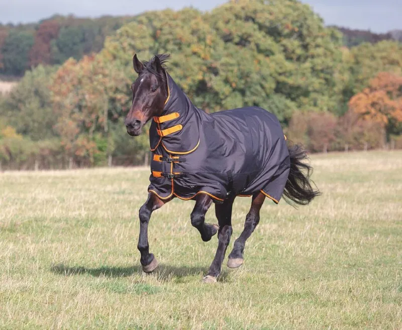 Shires Tempest Original 200g Combo Turnout in Black